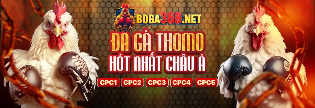 Đá Gà Trực Tuyến Hấp Dẫn tại a666 link mới