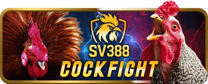 Thưởng chào mừng A666